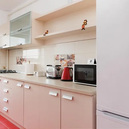 Brasov Holiday Apartments Брашов