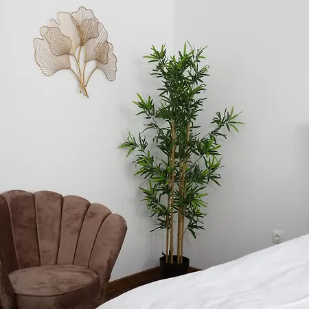 Brasov Holiday Apartments Апартаменты Брашов